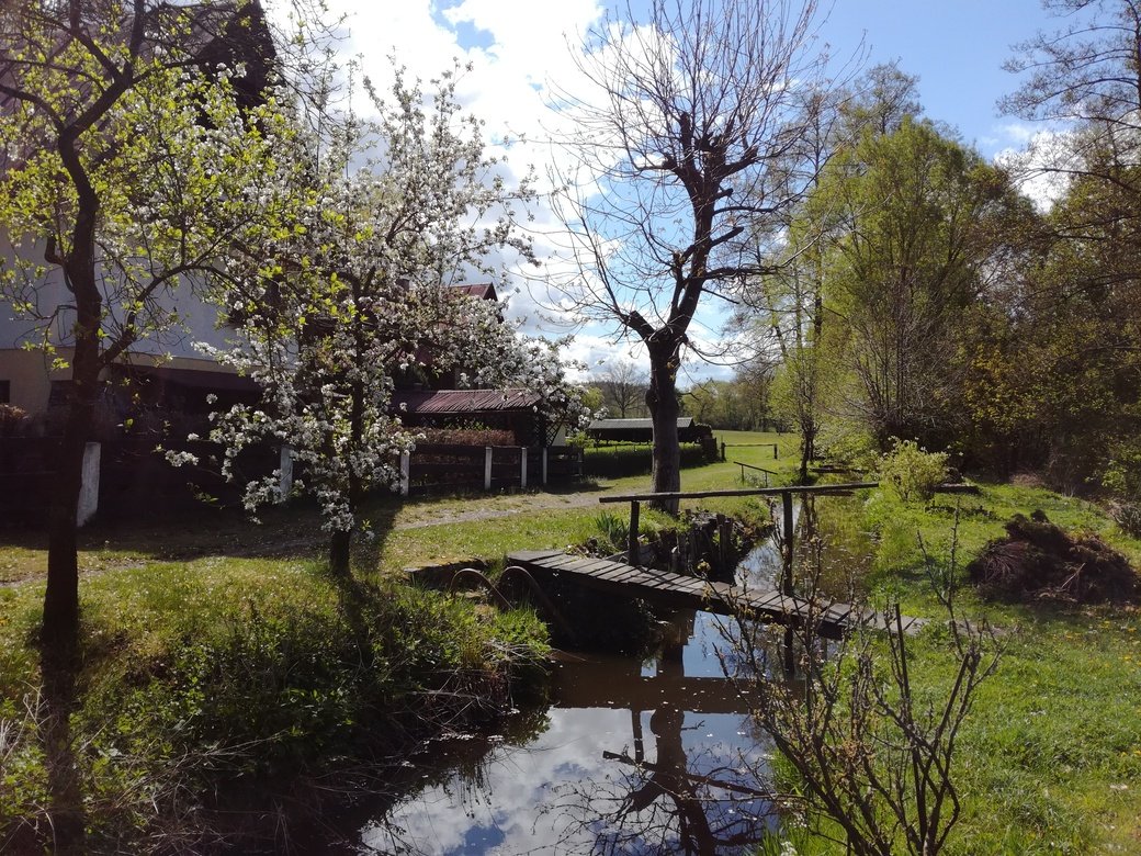 Domek u potoka
